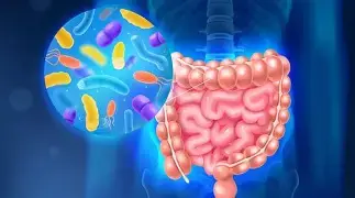 probiotique et mycothérapie